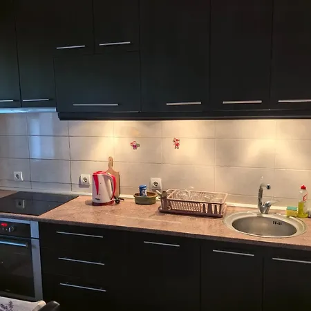 Cozy - Center 公寓 *